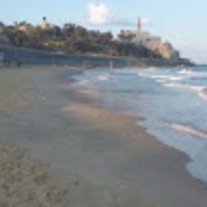 Meet your Posher, Lenny